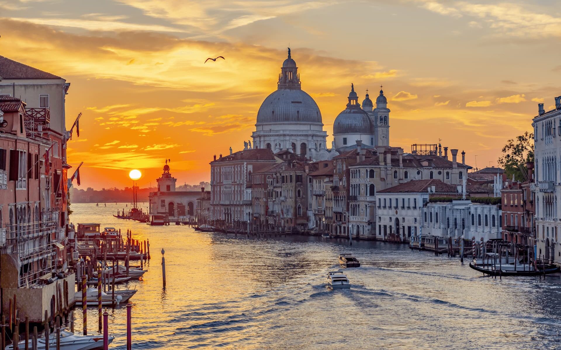Venezia